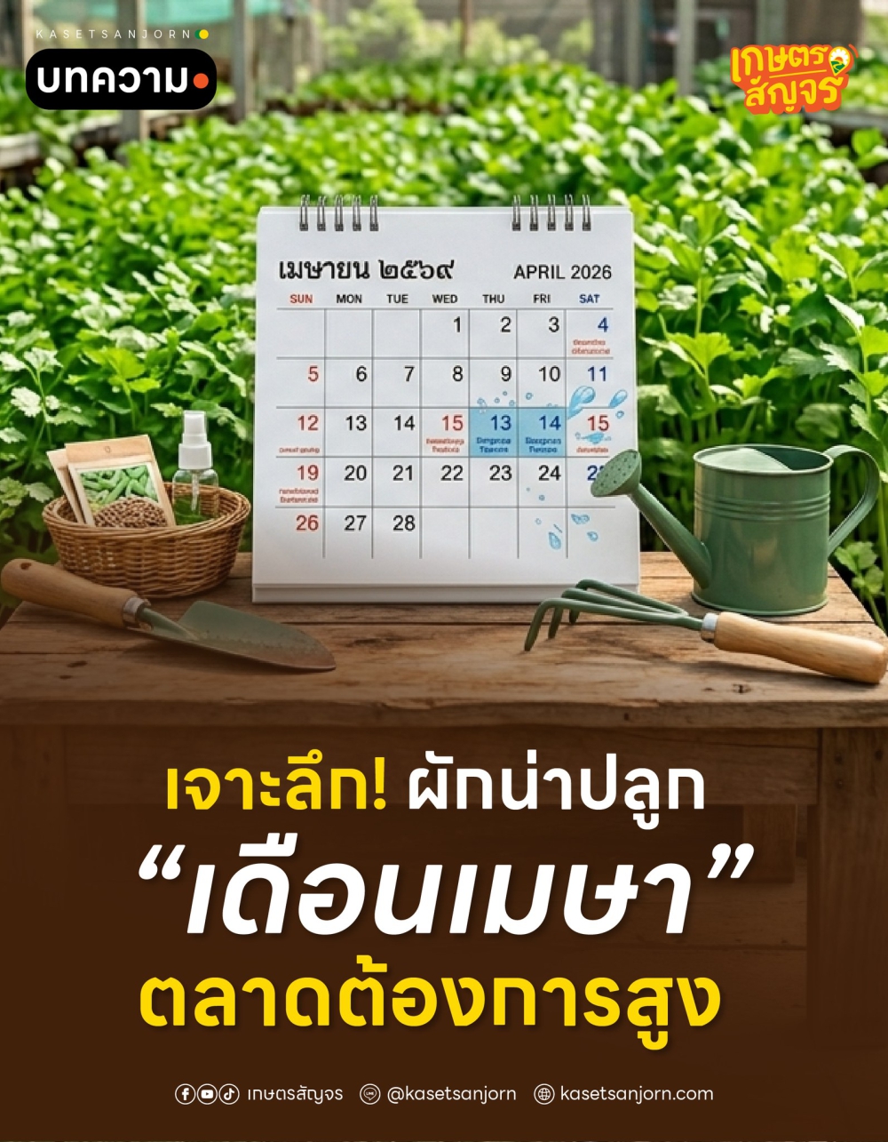 ผักน่าปลูกเดือนเมษา ตลาดต้องการสูง