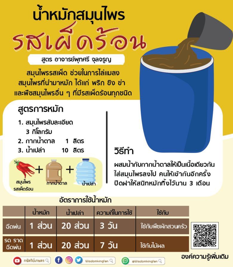 น้ำหมักสมุนไพรรสเผ็ดร้อน