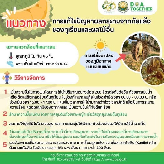 แนวทางแก้ไขปัญหาผลกระทบจากภัยแล้ง