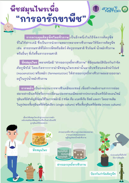 พืชสมุนไพร เพื่อการอารักขาพืช