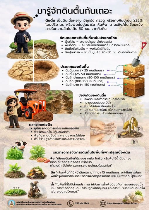 “ดินตื้น” รู้ไว้ จัดการเป็น ปลูกพืชได้ผลดี