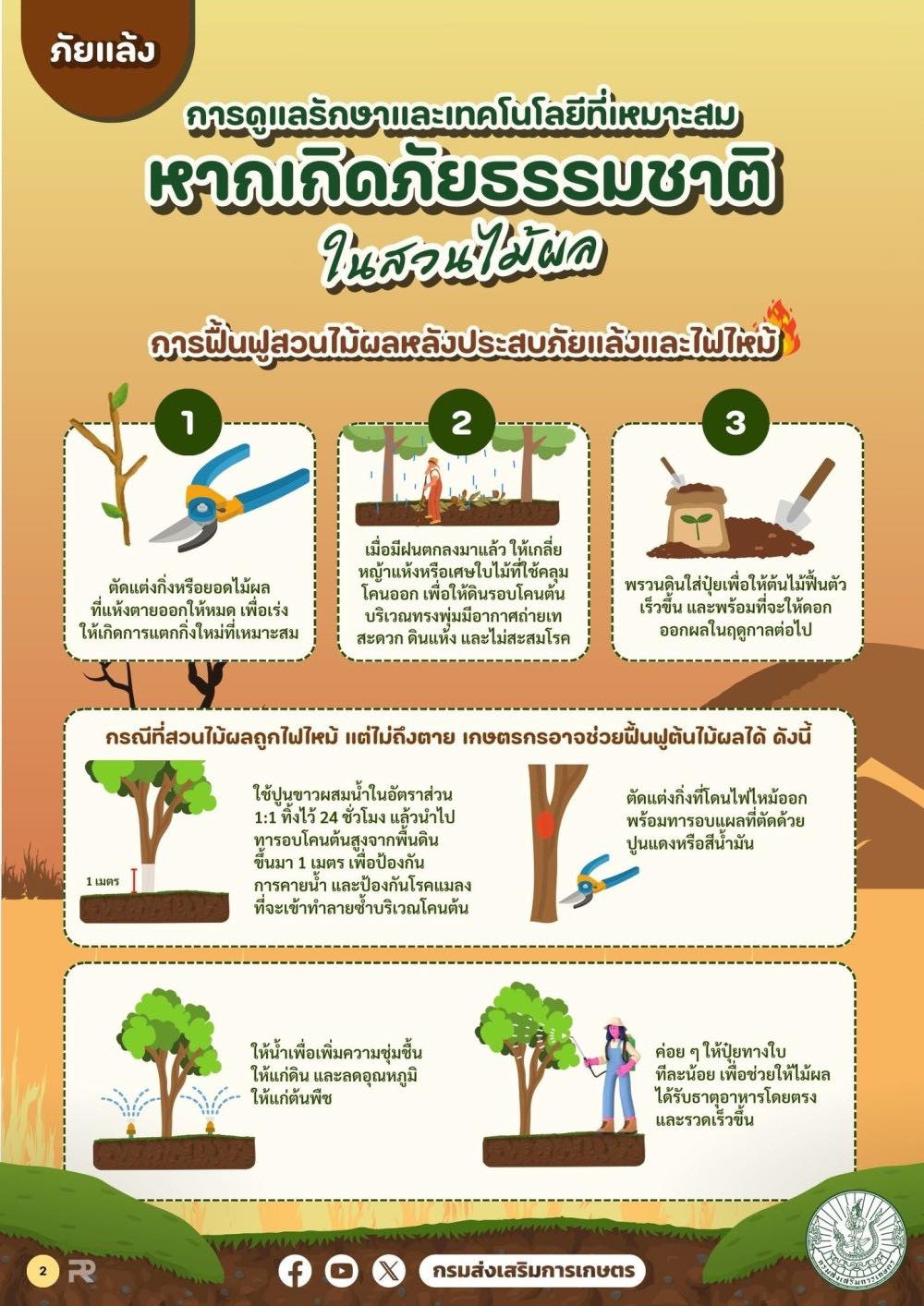 การดูแลรักษาและเทคโนโลยีที่เหมาะสมหากเกิดภัยธรรมชาติในสวนไม้ผล