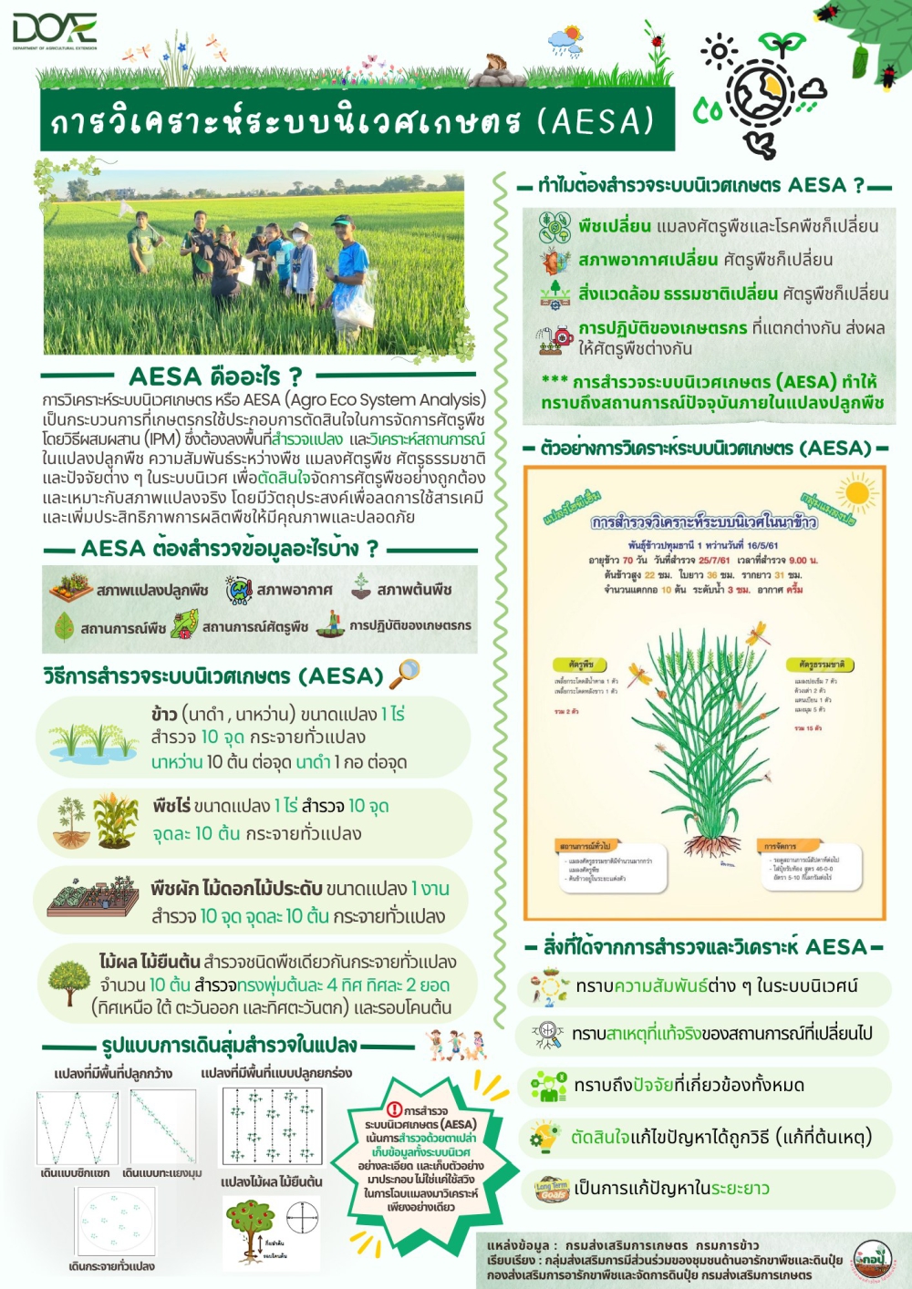 “เอ้กอีเอ้ก เอ้กเอ้ก” เช้าเเล้ว ชวนกันมาสำรวจแปลงกัน