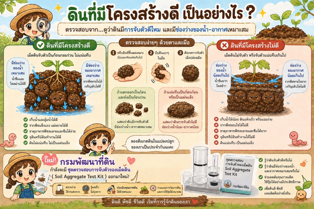 ดินที่มีโครงสร้างที่ดีเป็นอย่างไร