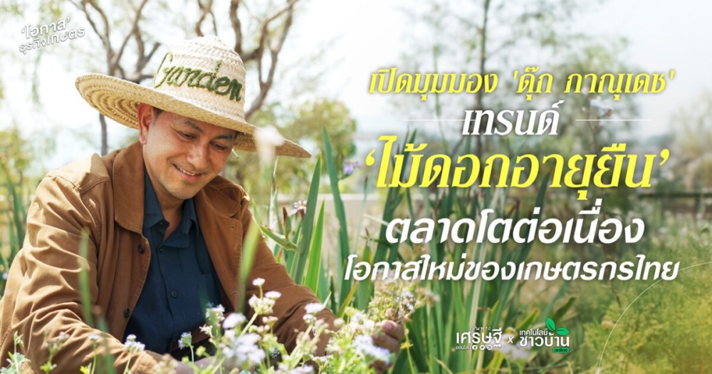 เปิดมุมมอง‘ดุ๊กภาณุเดช’เทรนด์‘ไม้ดอกอายุยืน’