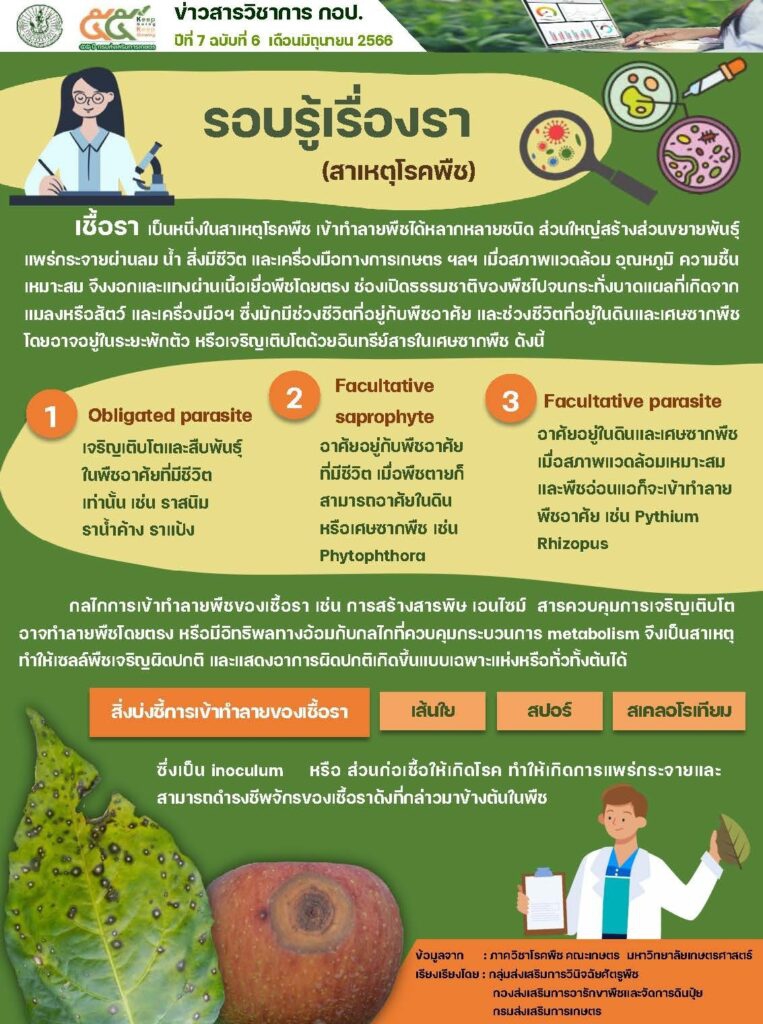 รอบรู้เรื่องรา