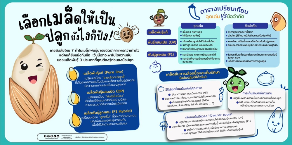 เลือกเมล็ดให้เป็น ปลูกยังไงก็ปัง