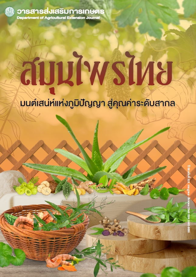 สมุนไพรไทยมนต์เสน่ห์แห่งภูมิปัญญา