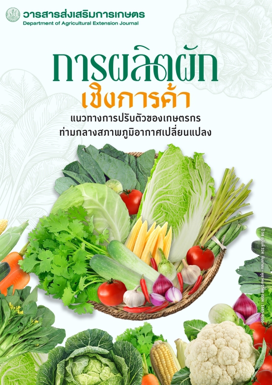 การผลิตผักเชิงการค้า
