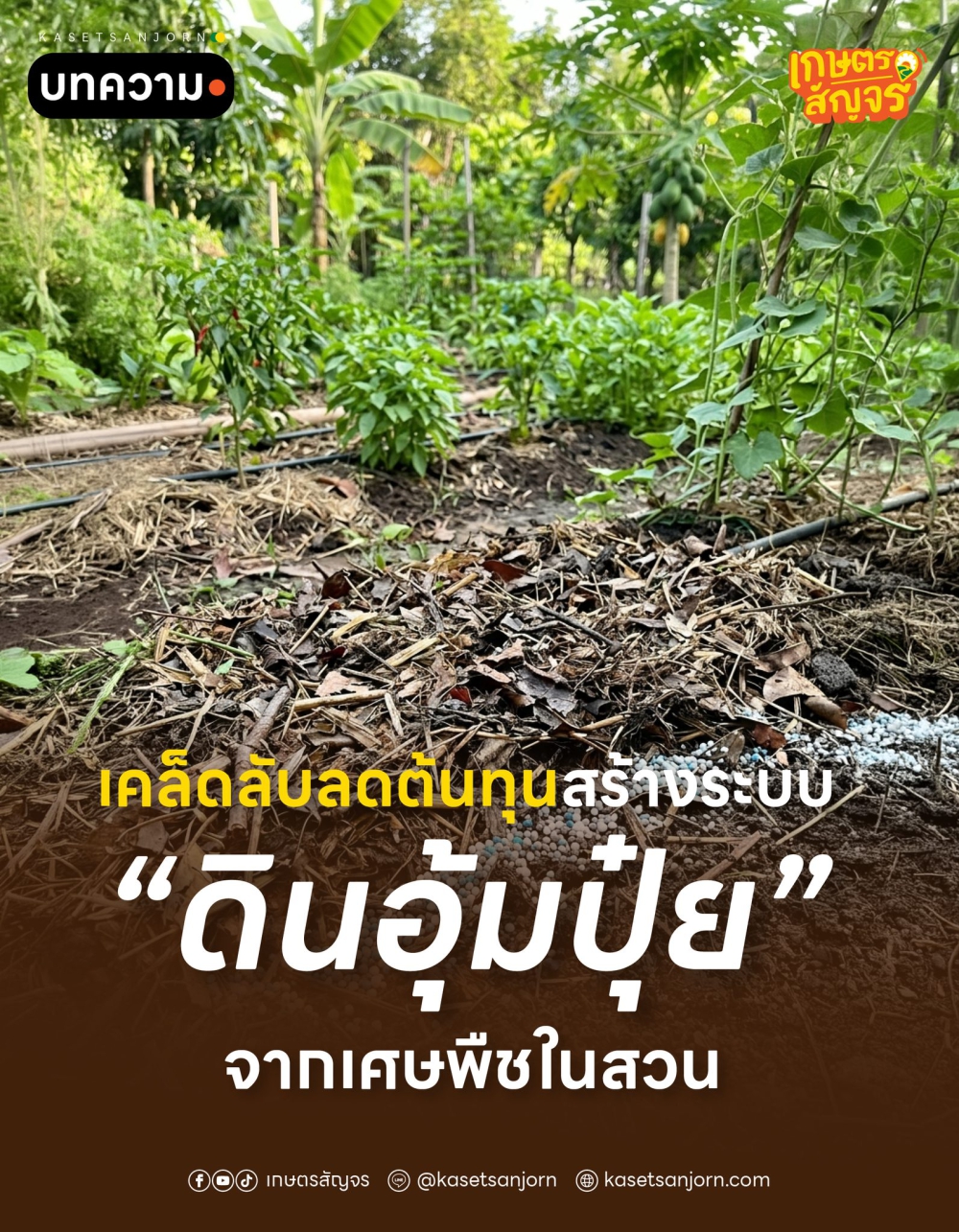 เคล็ดลับลดต้นทุน!สร้างระบบดินอุ้มปุ๋ย