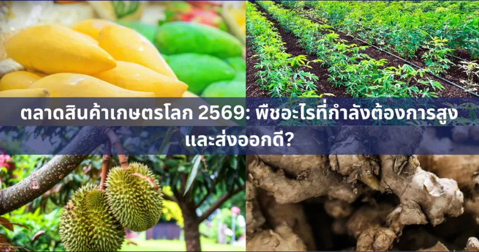 ตลาดสินค้าเกษตรโลก