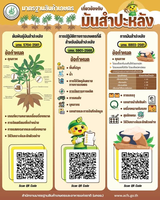 มันสำปะหลังของไทยมีมาตรฐานสินค้าเกษตรรองรับ