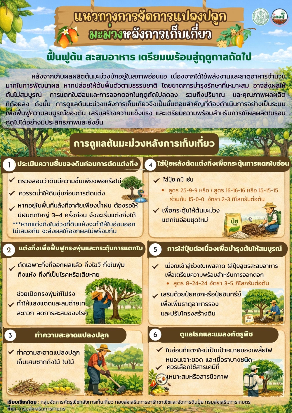 เเนวทางการจัดการแปลงปลูกมะม่วงหลังการเก็บเกี่ยว