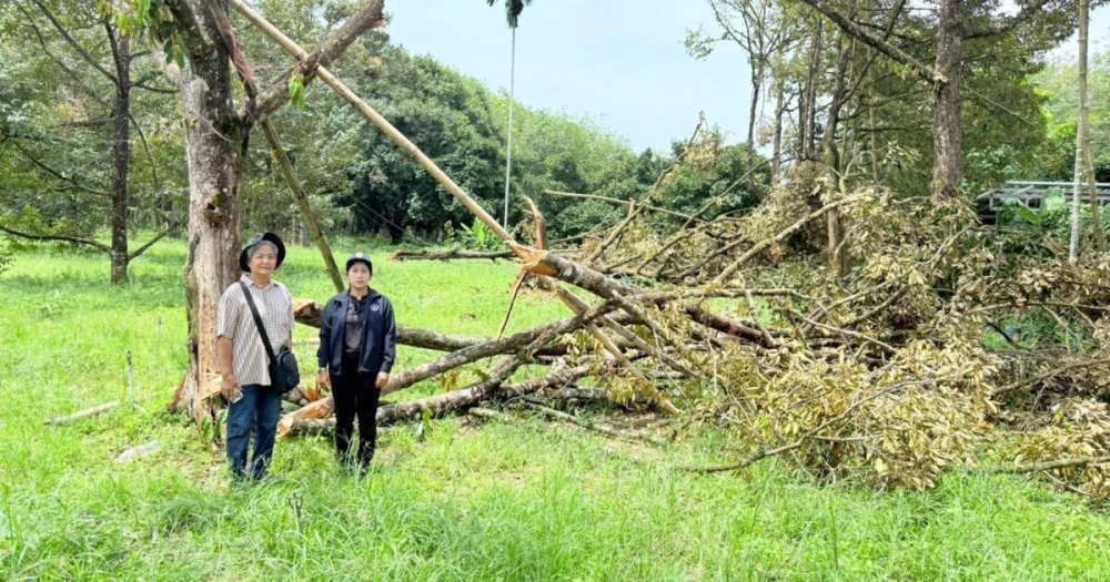 เกษตรฯเผย3สิ่งเกษตรกรควรทำเพื่อรับการช่วยเหลือ