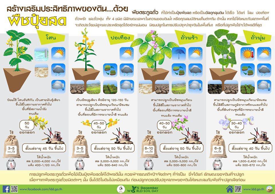 การเก็บตัวอย่างดินเพื่อการวิเคราะห์
