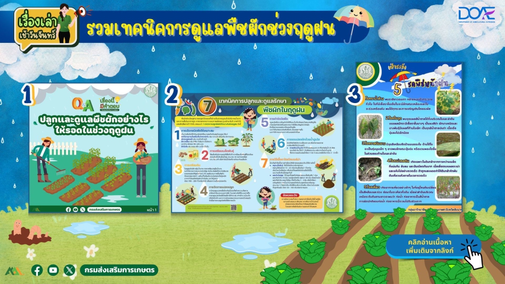 เทคนิคการดูแลพืชผักช่วงฤดูฝน