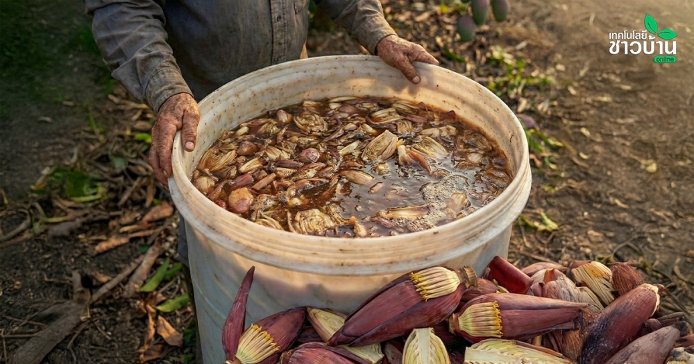 สูตรลับจากเกษตรกร
