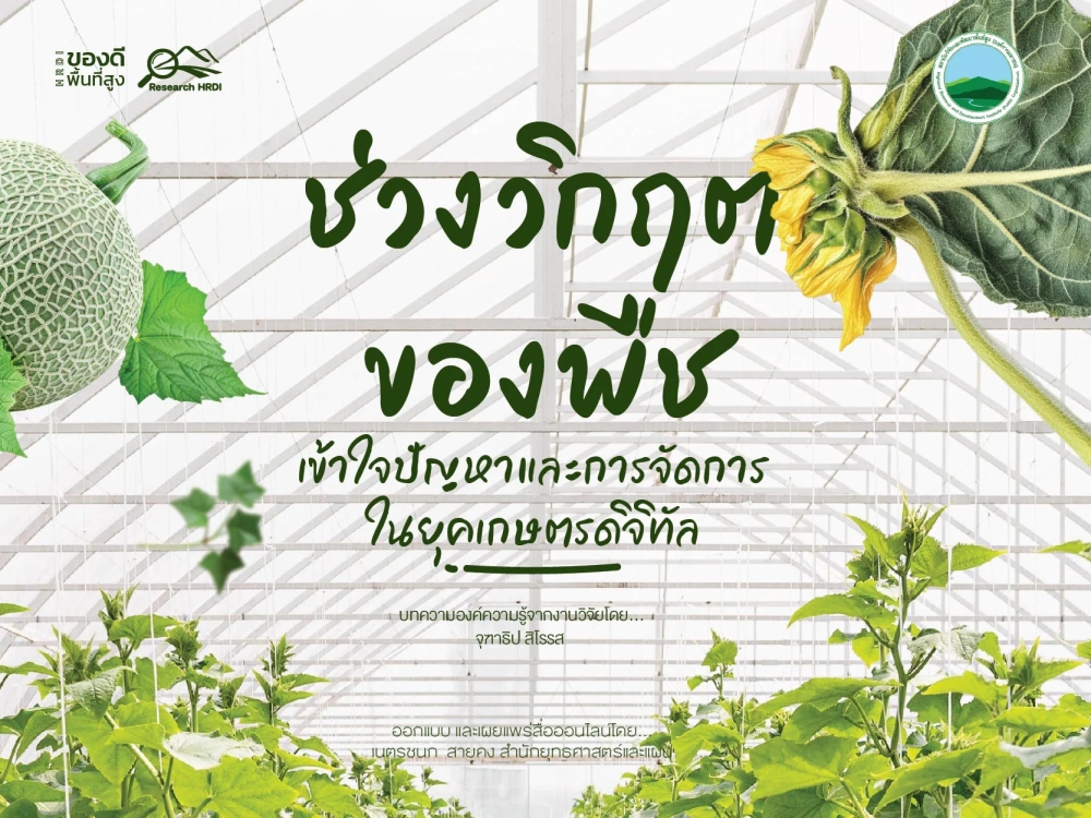 ช่วงวิกฤตของพืช:เข้าใจปัญหาและการจัดการในยุคเกษตรดิจิทัล