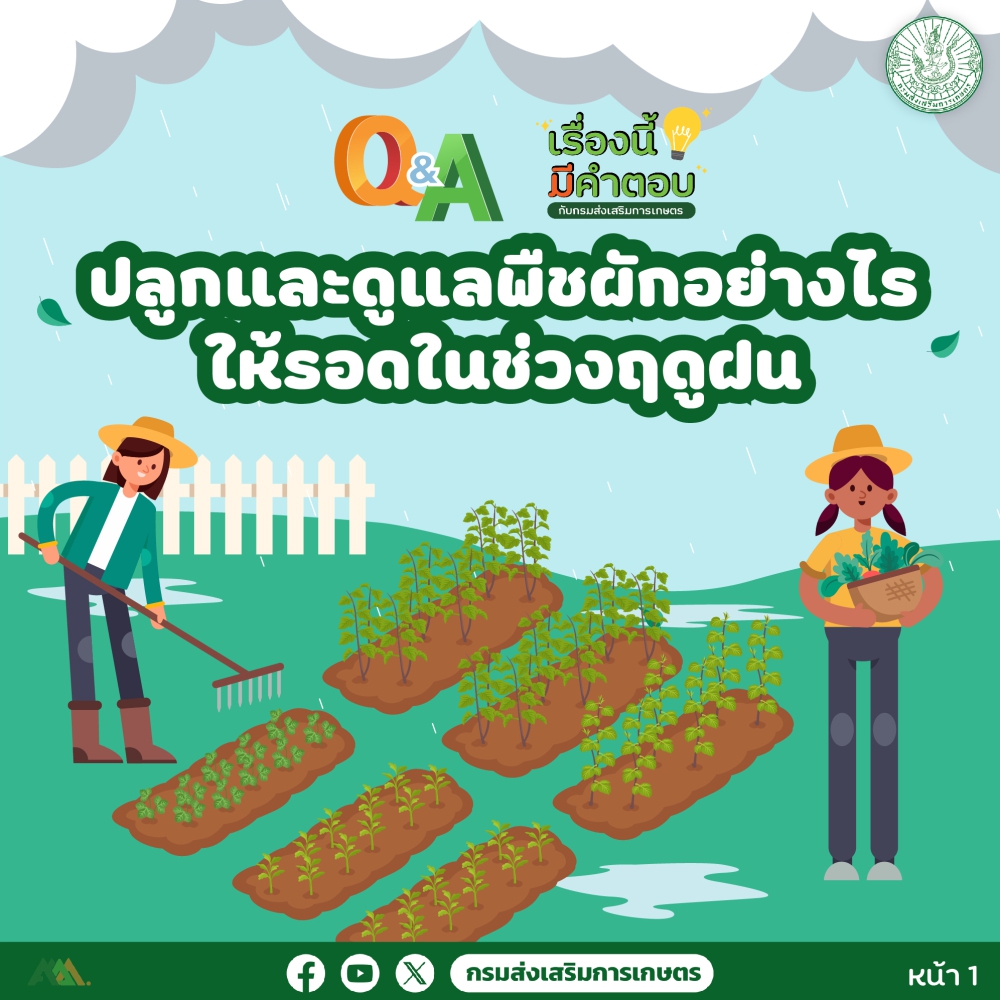 ปลูกและดูแลพืชผักอย่างไรให้รอดในช่วงฤดูฝน