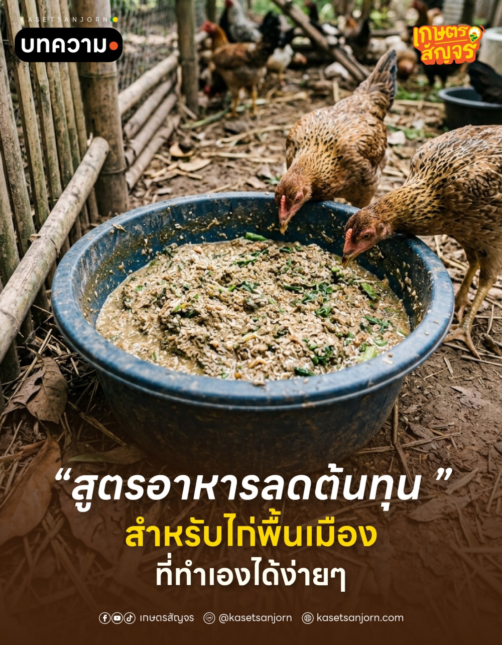 สูตรอาหารลดต้นทุน