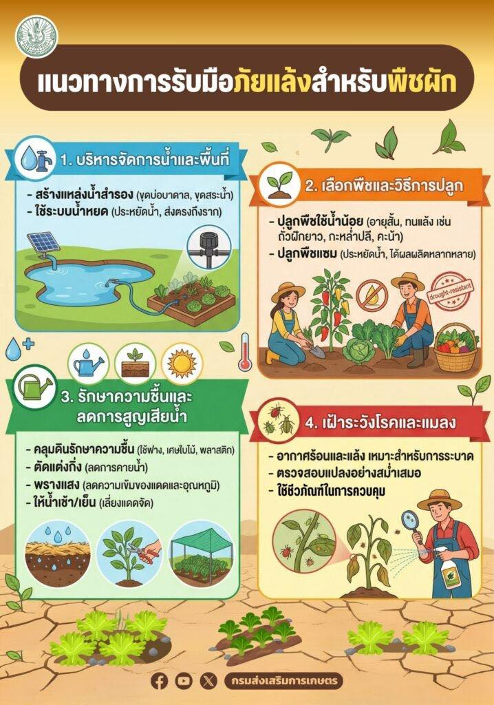 แนวทางการรับมือภัยแล้งสำหรับพืชผัก