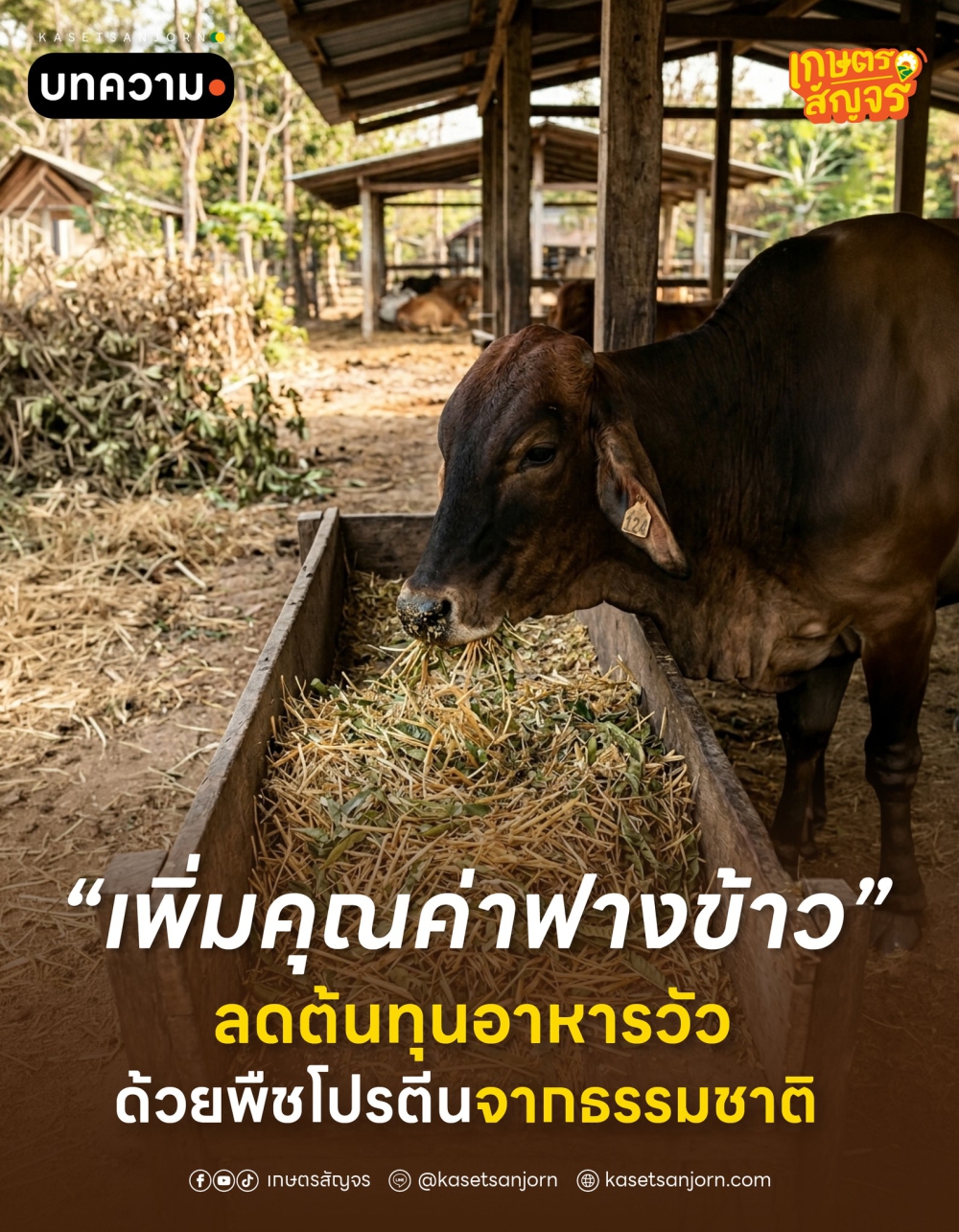 เพิ่มคุณค่าฟางข้าว