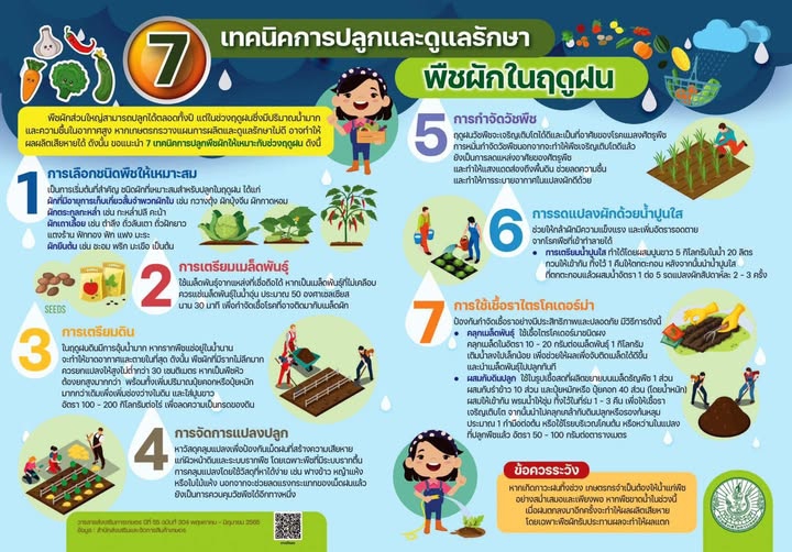 7 เทคนิคการปลูกและดูแลรักษาพืชผักในฤดูฝน