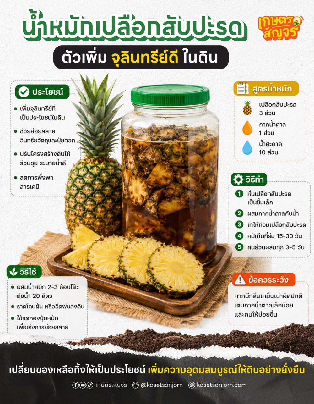 7 วิธีเก็บความชื้นในดิน ลดความเสี่ยงจากฝนทิ้งช่วง