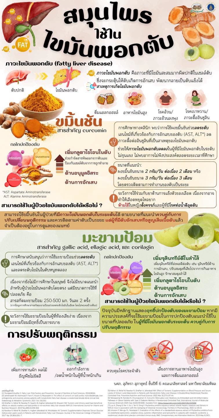 สมุนไพรใช้ในไขมันพอกตับ