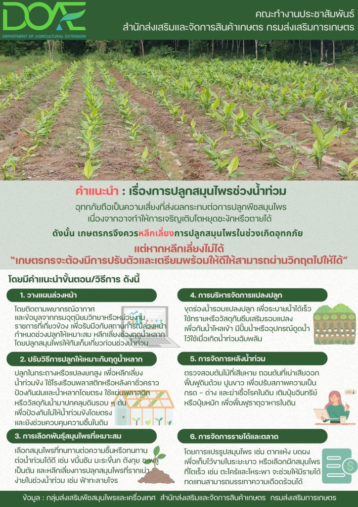 การจัดการความเสี่ยง (น้ำท่วม) สมุนไพร