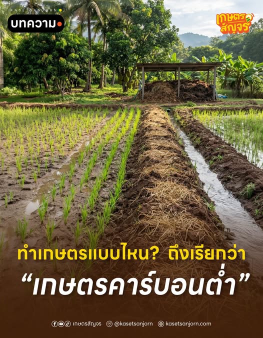 ทำเกษตรแบบไหนถึงเรียกว่า เกษตรคาร์บอนต่ำ