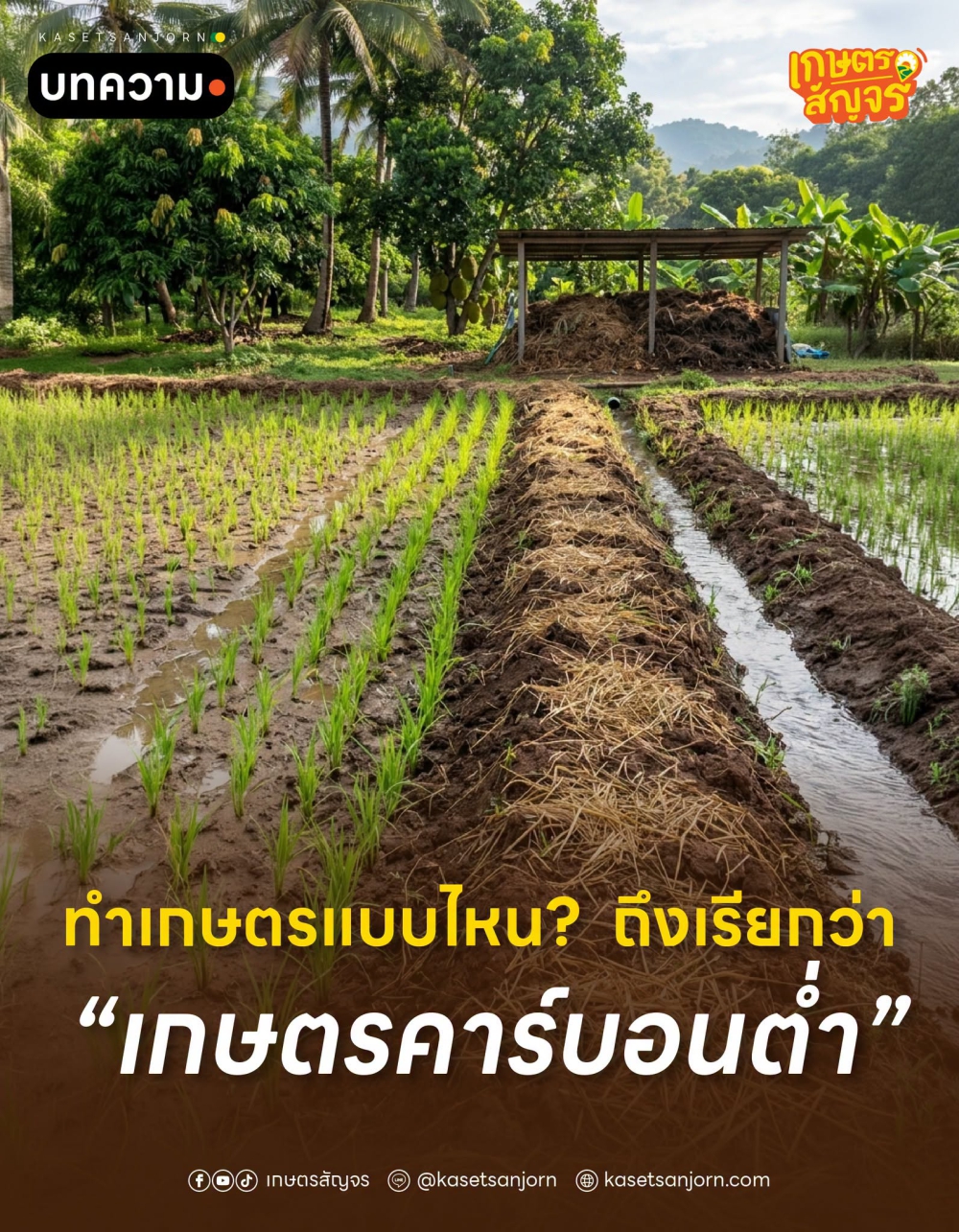 ทำเกษตรแบบไหน? ถึงเรียกว่า เกษตรคาร์บอนต่ำ