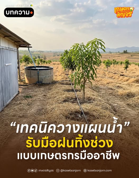 5 เทคนิควางแผนน้ำ รับมือฝนทิ้งช่วงแบบเกษตรกรมืออาชีพ