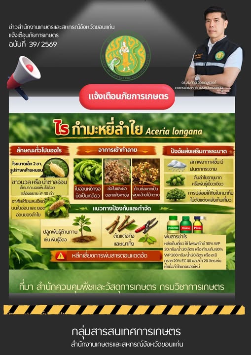 เตือนภัย  ไรกำมะหยี่ลำไย