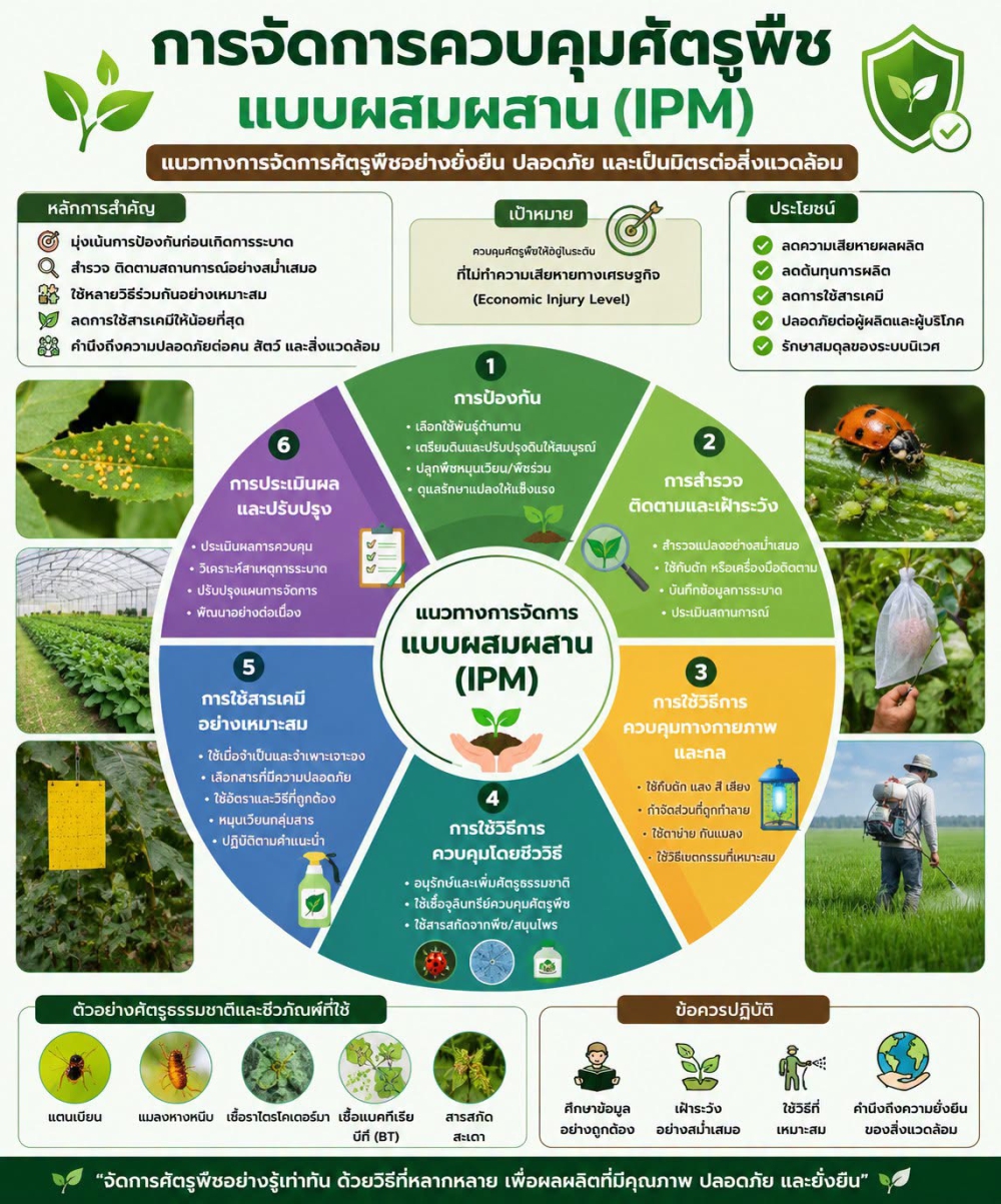 การจัดการควบคุมศัตรูพืชแบบผสมผสาน (IPM)