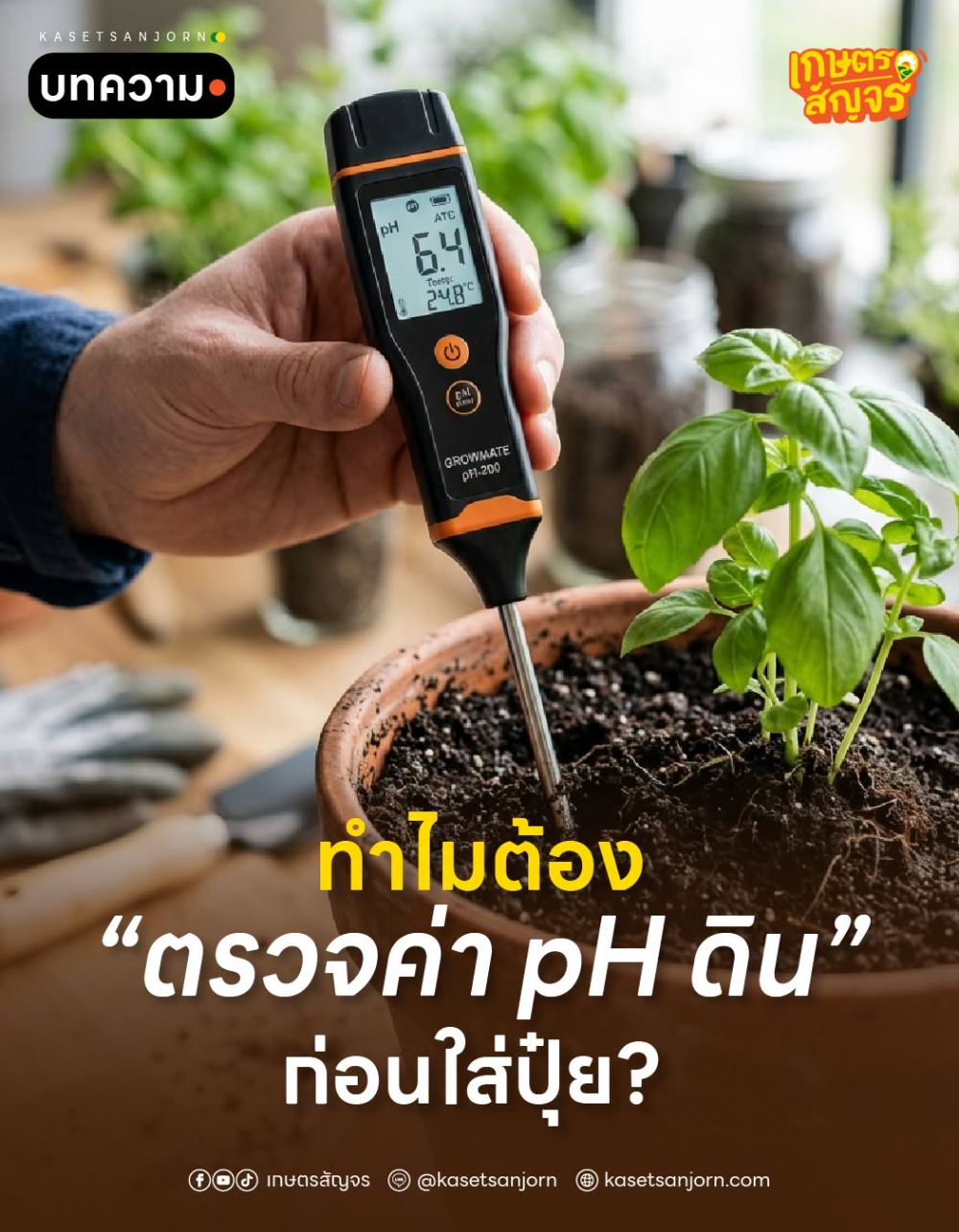 ทำไมต้องตรวจค่า pH ดิน ก่อนใส่ปุ๋ย?