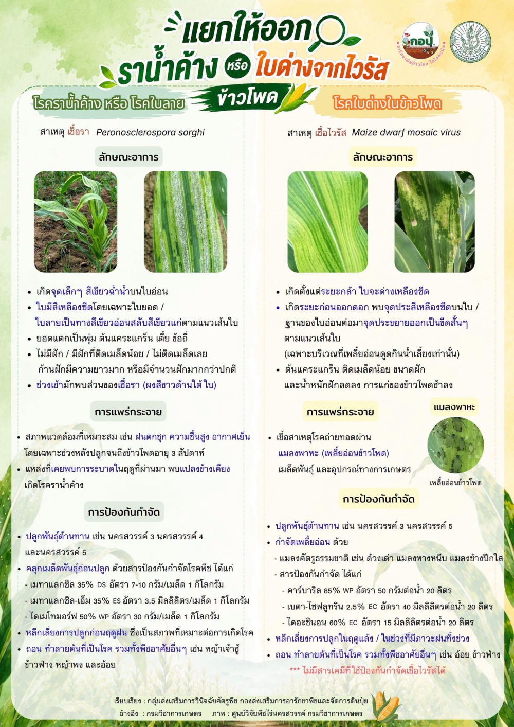 กองส่งเสริมการอารักขาพืชและจัดการดินปุ๋ย