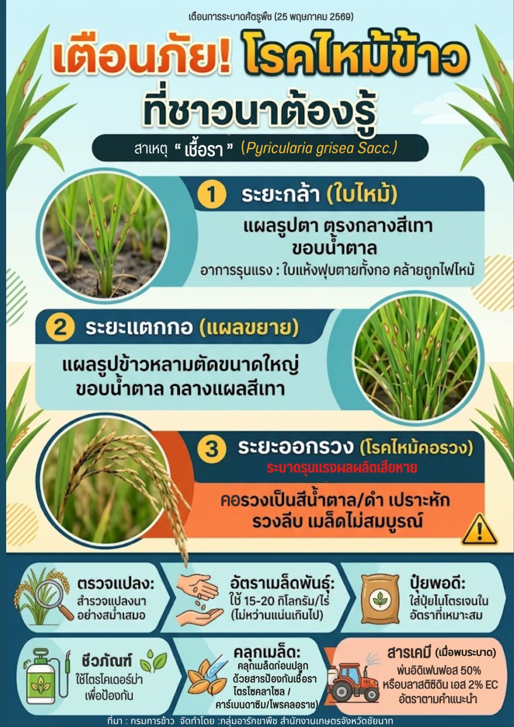 โรคไหม้ข้าว