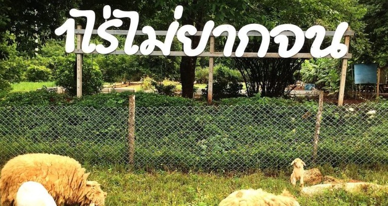 การเกษตรในพื้นที่จำกัด