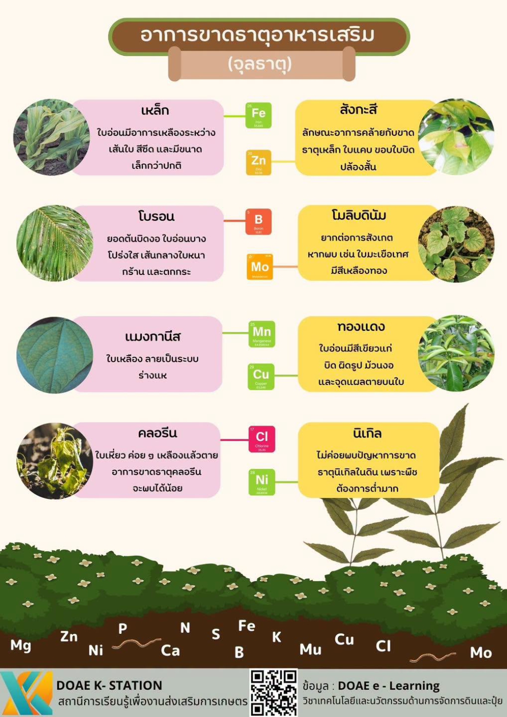 อาการขาดธาตุอาหารเสริม (จุลธาตุ)