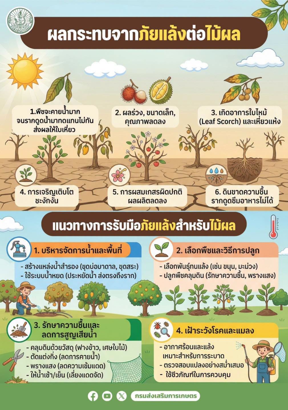 ผลกระทบจากภัยแล้งต่อไม้ผล