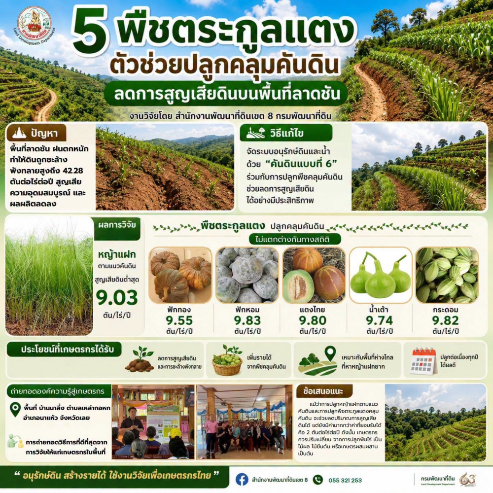 5 พืชตระกูลแตง ตัวช่วยปลูกคลุมคันดิน