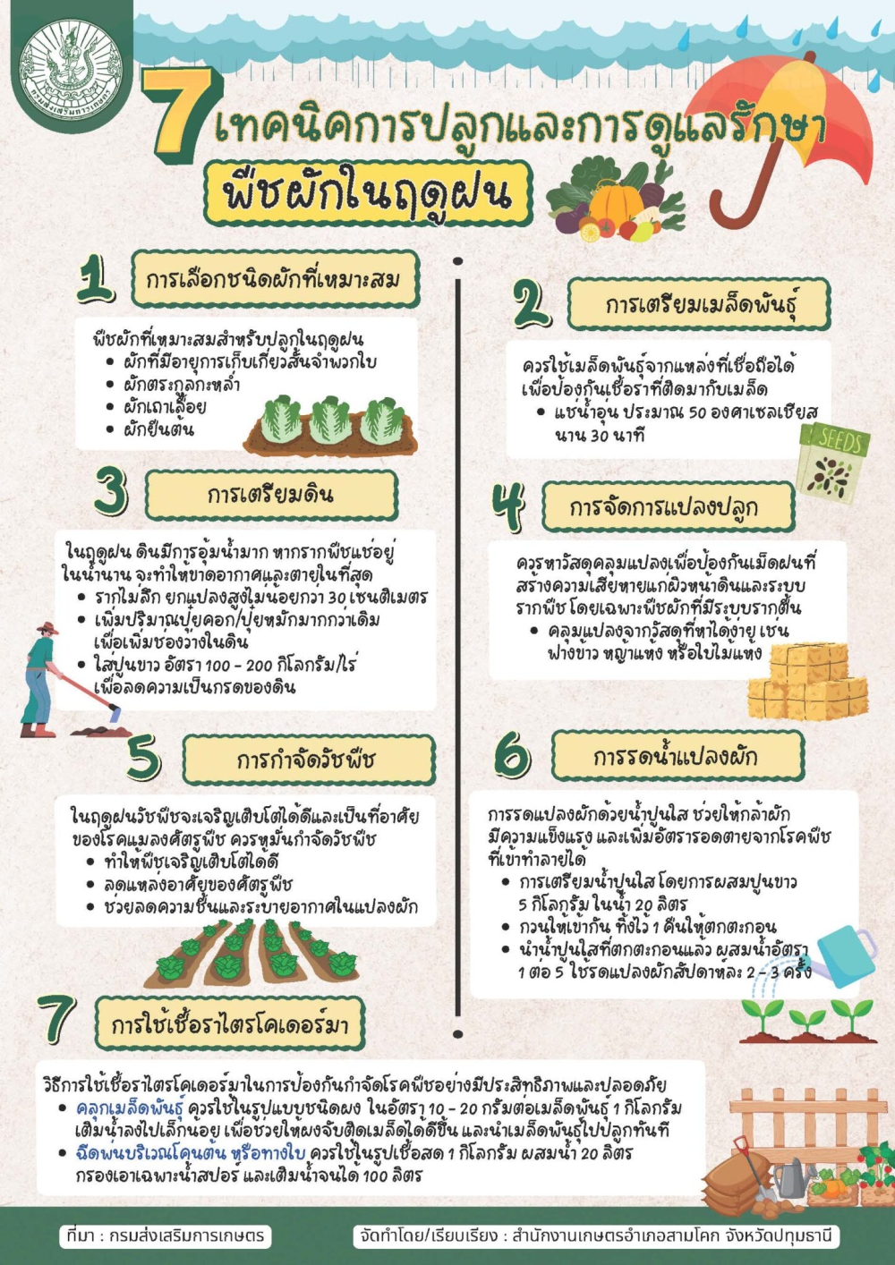 7 เทคนิคการปลูกและดูแลรักษาพืชผักในฤดูฝน
