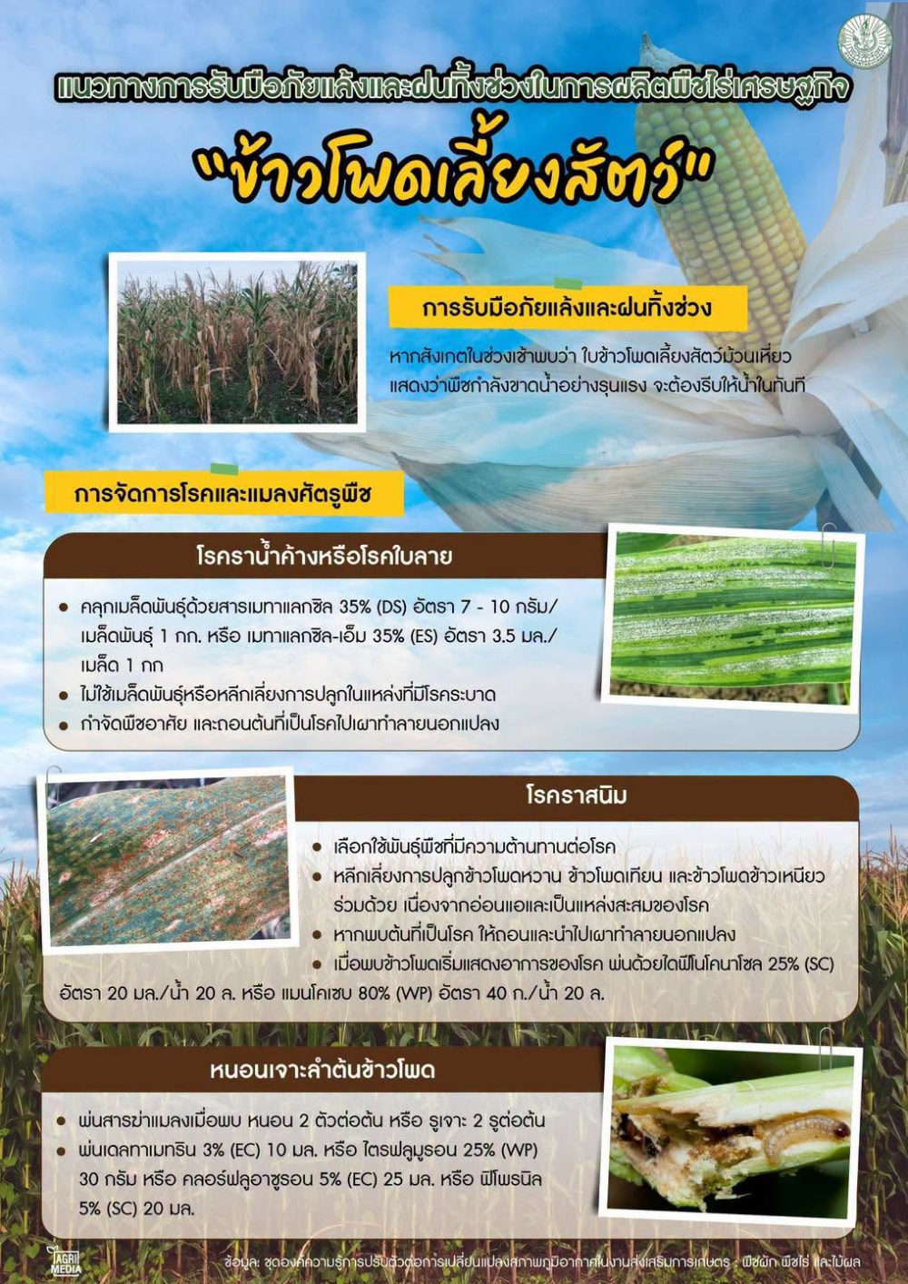 แนวทางการรับมือภัยแล้งและฝนทิ้งช่วงในการผลิตพืชไร่เศรษฐกิจ