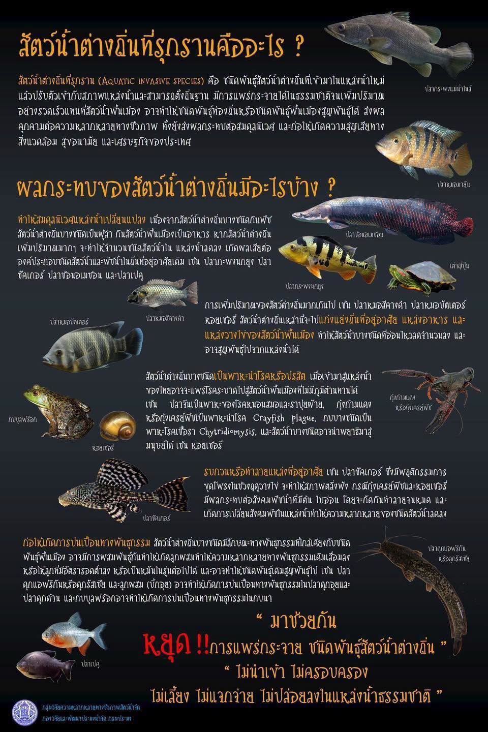 สัตว์น้ำต่างถิ่นที่รุกรานคืออะไร?