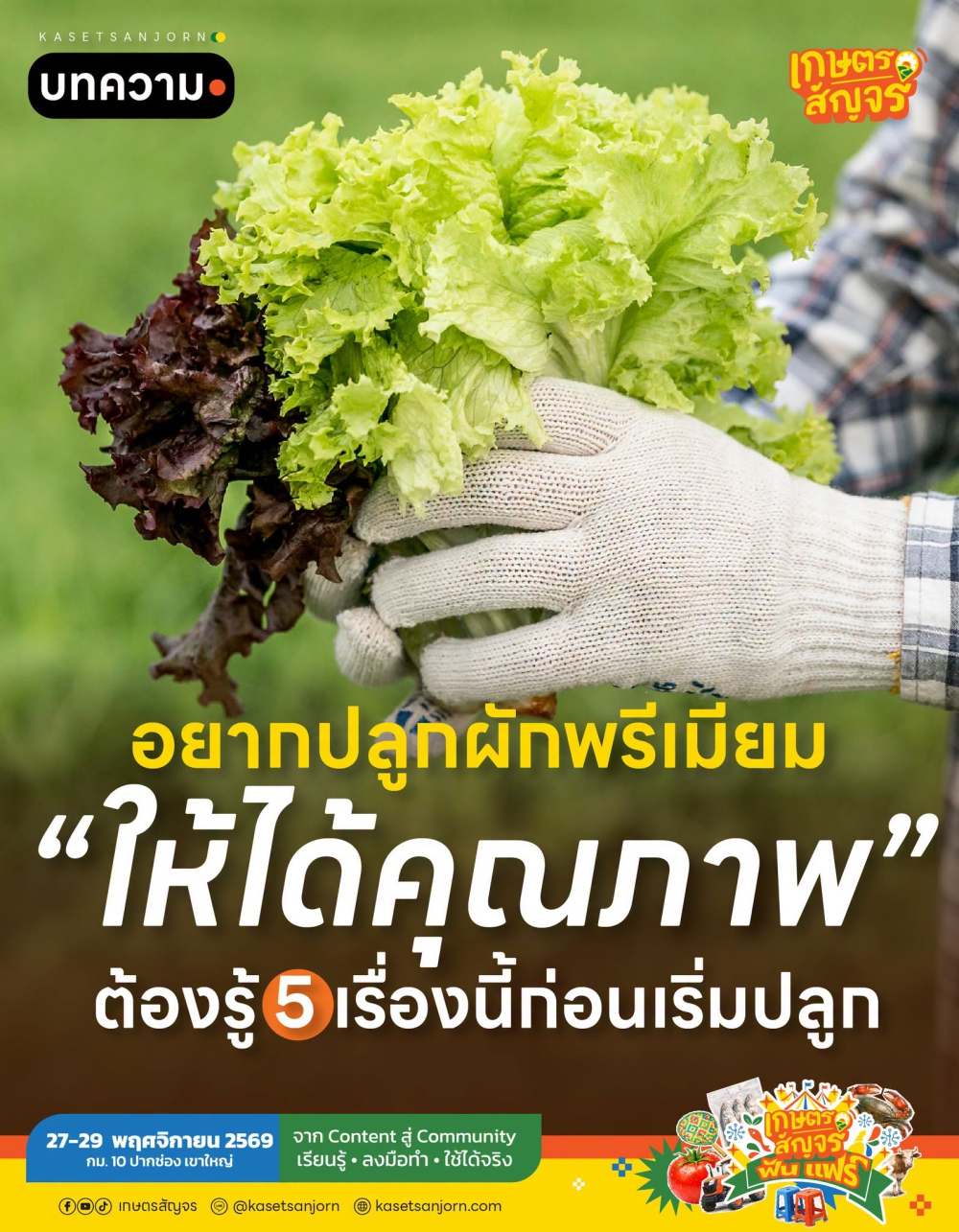 อยากปลูกผักพรีเมียมให้ได้คุณภาพ