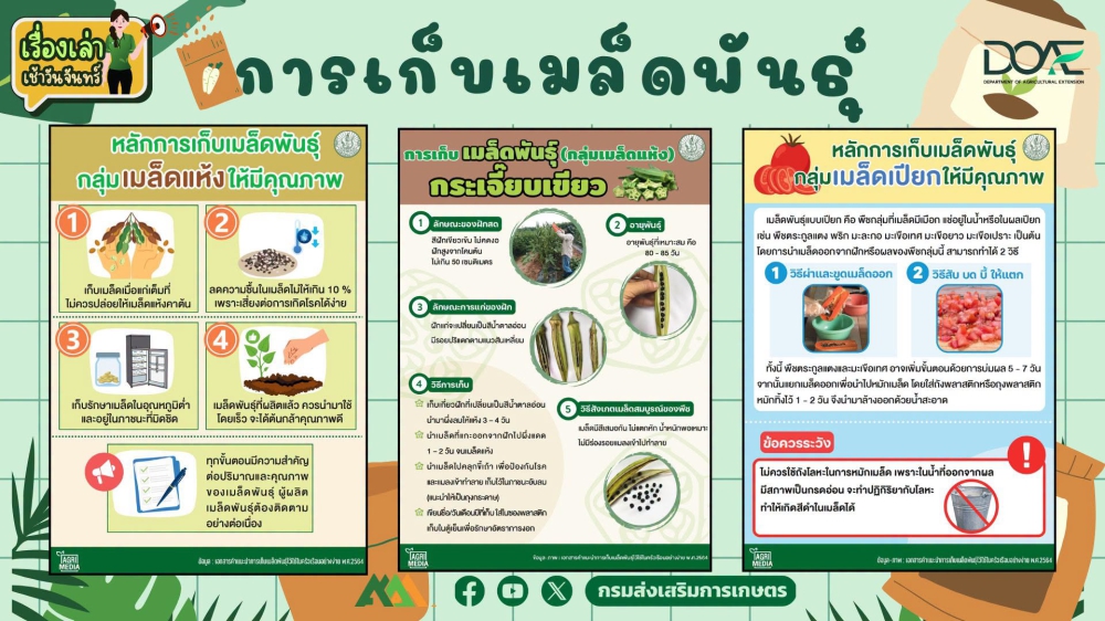 การเก็บเมล็ดพันธุ์