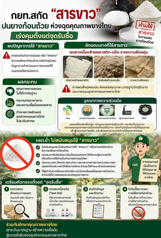 สกัดสารขาวในยางพารา
