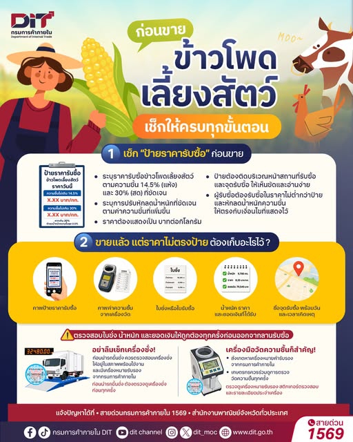 ก่อนขายข้าวโพดเลี้ยงสัตว์ เช็คให้ครบทุกขั้นตอน