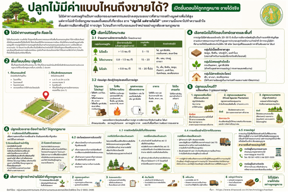 ปลูกไม้มีค่าแบบไหนถึงขายได้